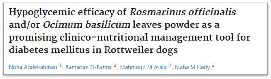 Efficacia ipoglicemica della polvere di foglie di Rosmarinus officinalis