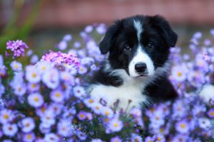 Come affrontare la primavera